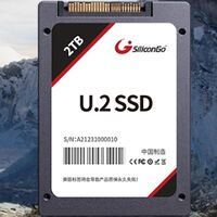 PCIe Gen3x4 U.2 SSD — P-10U 系列